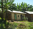 Typisch_Uganda_12